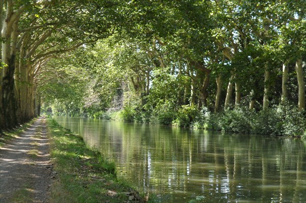 на фото: 3j  canal du Midi 7